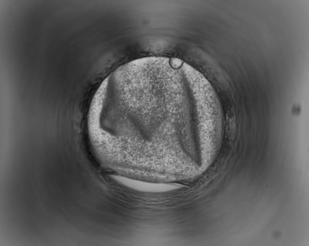 X0000102490750200809051322