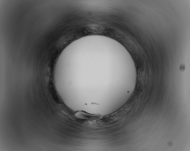 X0000102490752200809051322