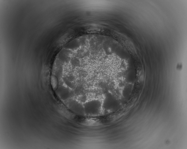 X0000102490753200809051322