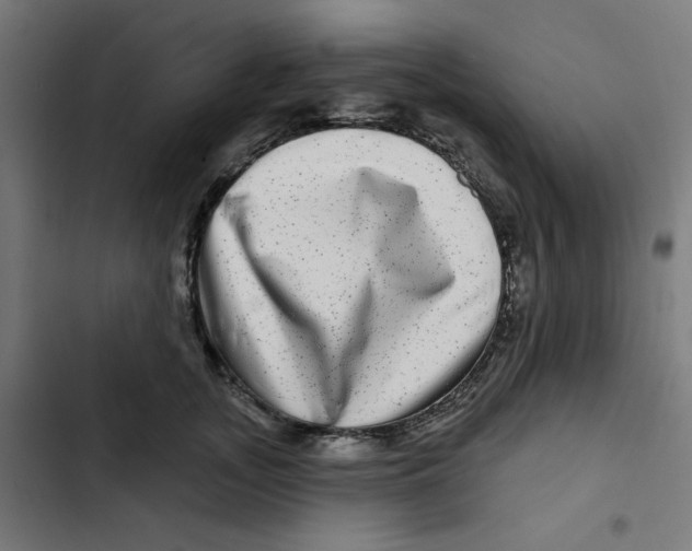 X0000102490755200809051322