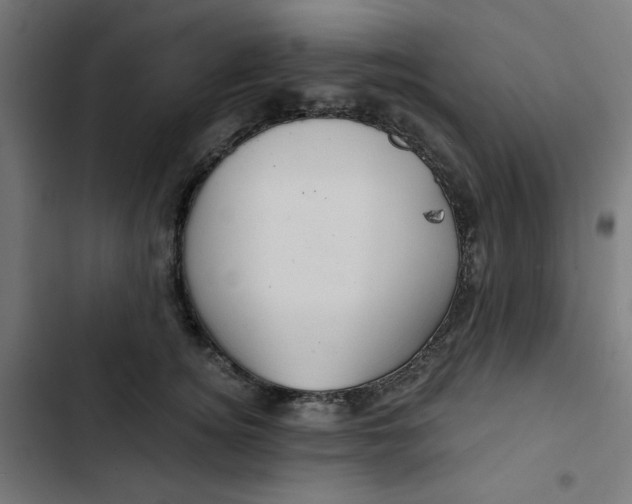 X0000102490756200809051322