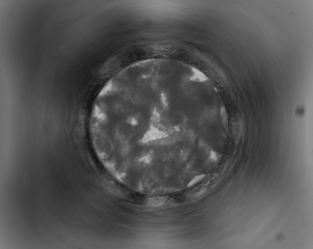 X0000102490757200809051322