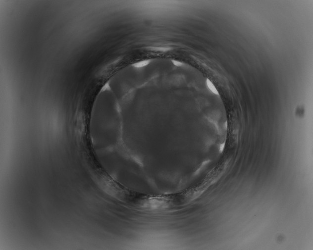 X0000102490758200809051322