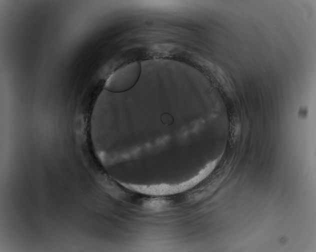 X0000102490759200809051322