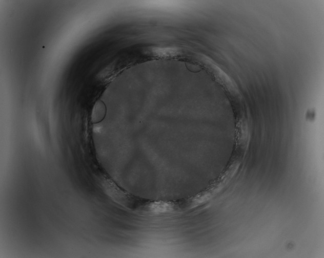 X0000102490762200809051322