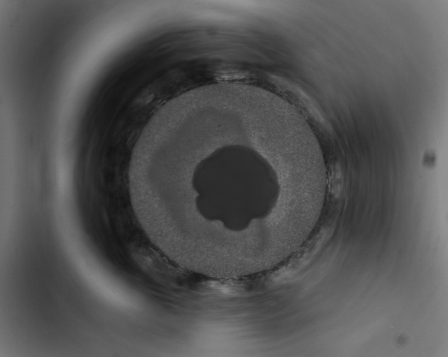 X0000102490763200809051322