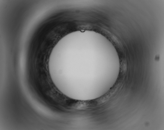 X0000102490764200809051322