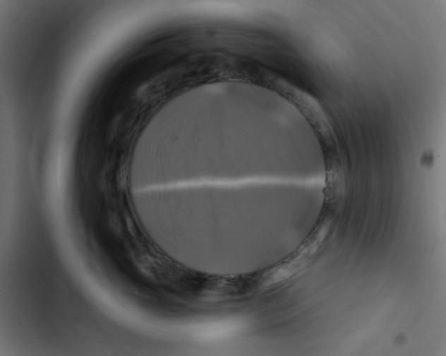 X0000102490765200809051322