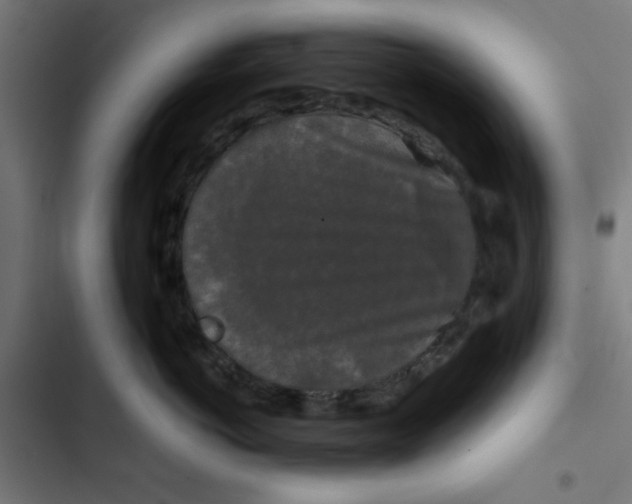 X0000102490766200809051322