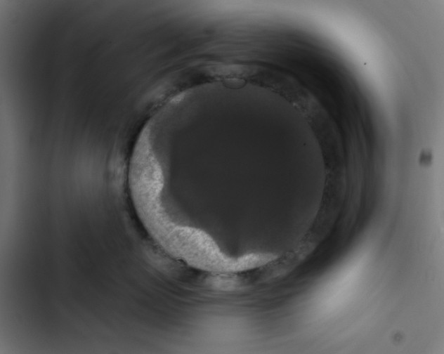 X0000102490767200809051322