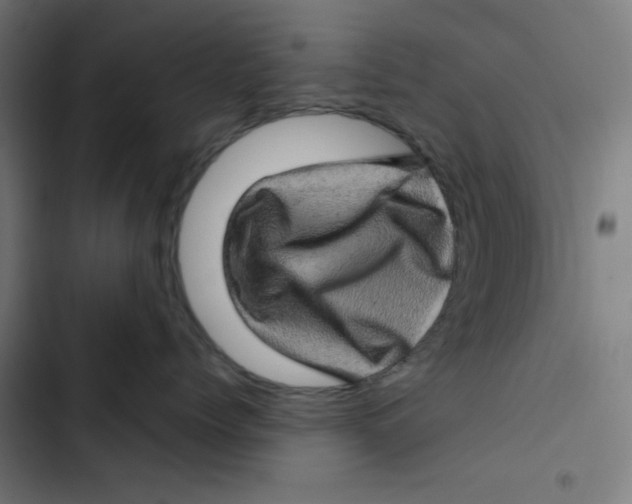 X0000102490768200809051322