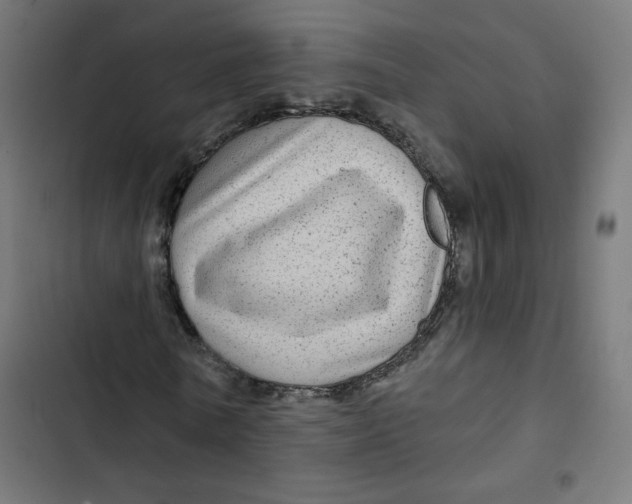 X0000102490770200809051321