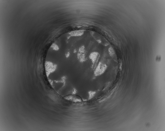 X0000102490771200809051321