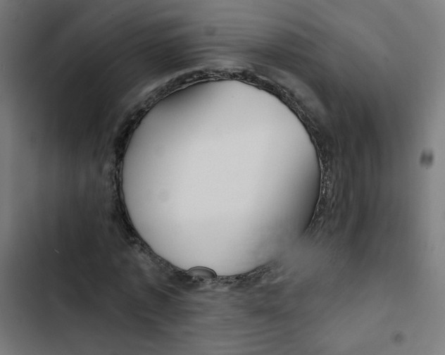 X0000102490773200809051321