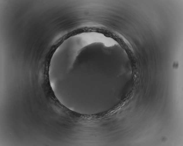 X0000102490775200809051321