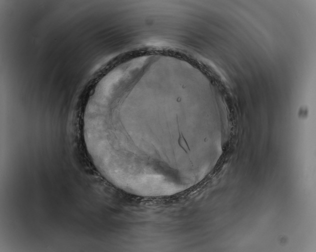 X0000102490776200809051321