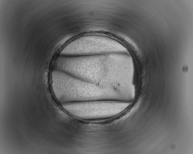 X0000102490777200809051321