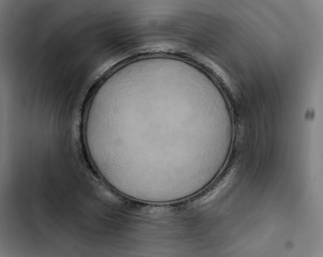 X0000102490778200809051321