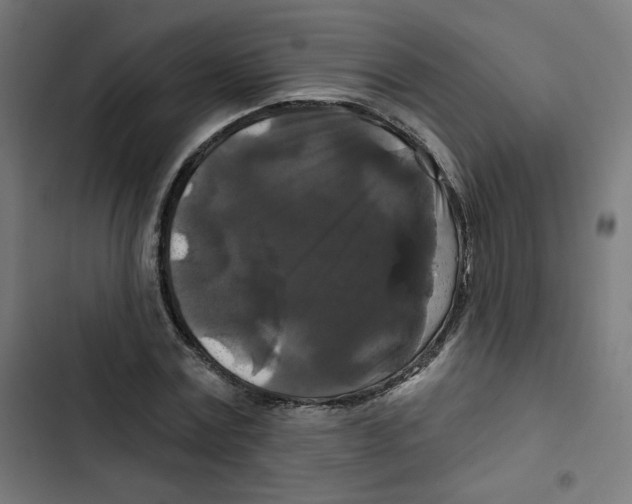 X0000102490779200809051321