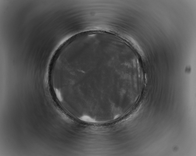 X0000102490780200809051321