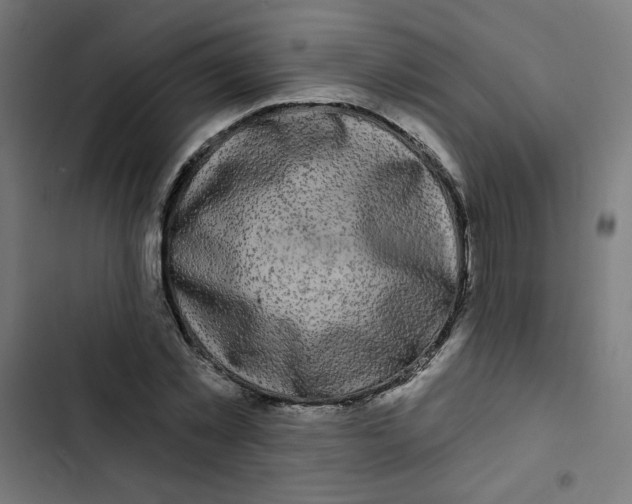 X0000102490781200809051321