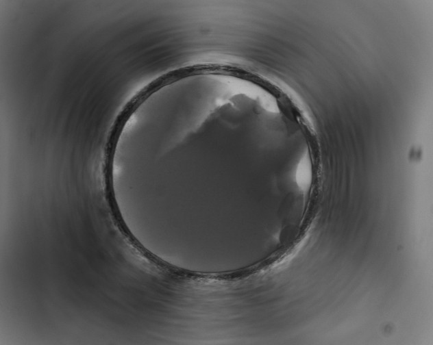 X0000102490783200809051321