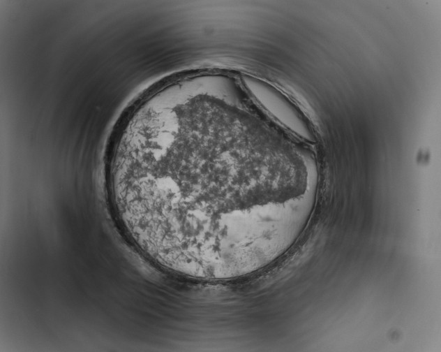 X0000102490784200809051321