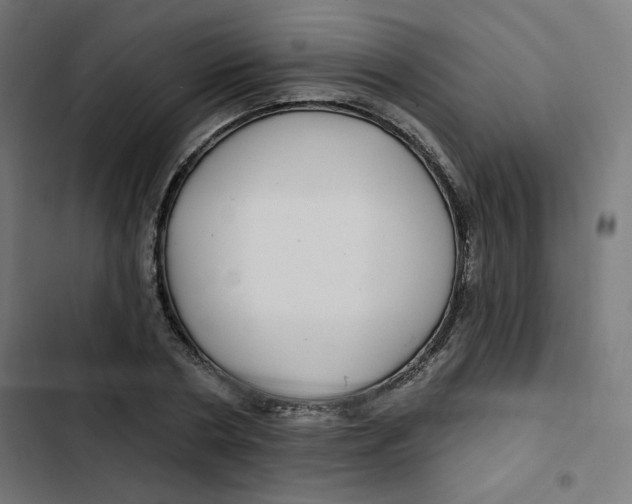 X0000102490786200809051321