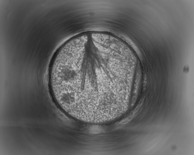 X0000102490787200809051321