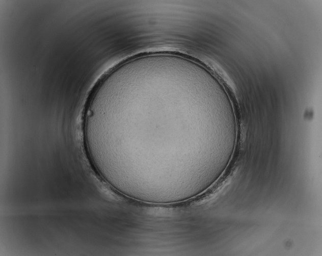 X0000102490789200809051321