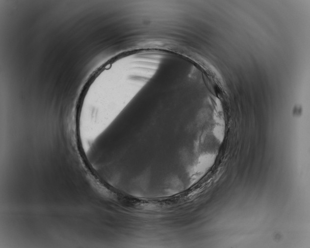 X0000102490792200809051321