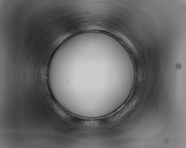 X0000102490793200809051321