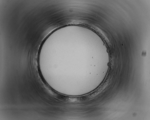 X0000102490794200809051321