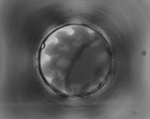 X0000102490795200809051321