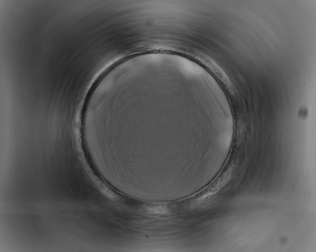 X0000102490798200809051321