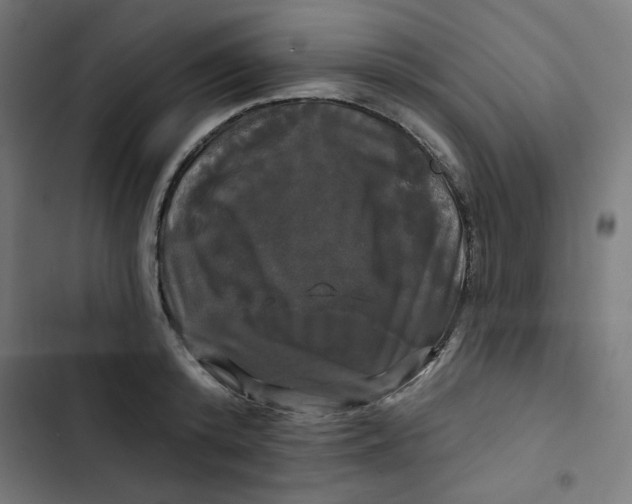 X0000102490800200809051321