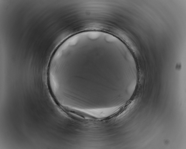 X0000102490802200809051321