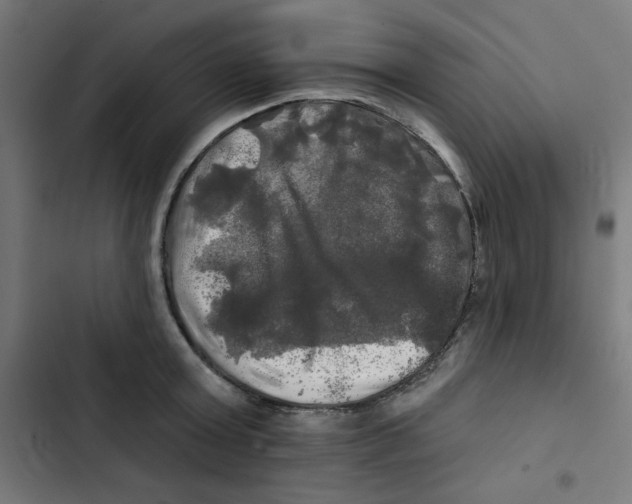 X0000102490803200809051321