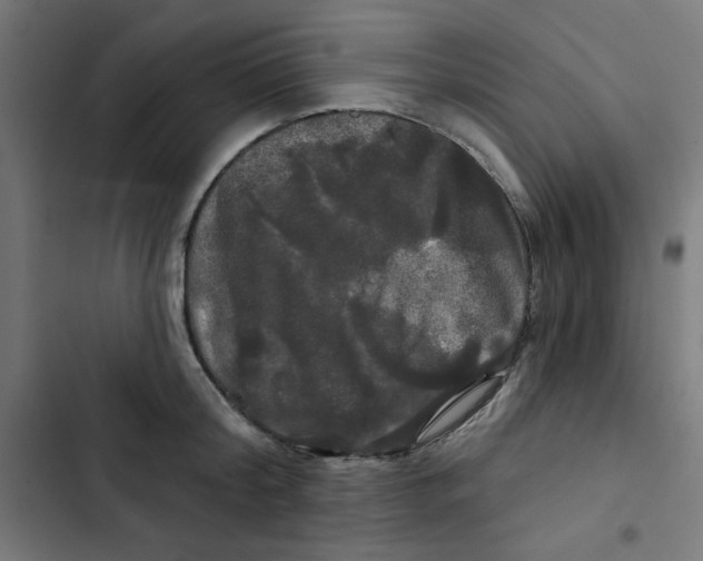 X0000102490804200809051321