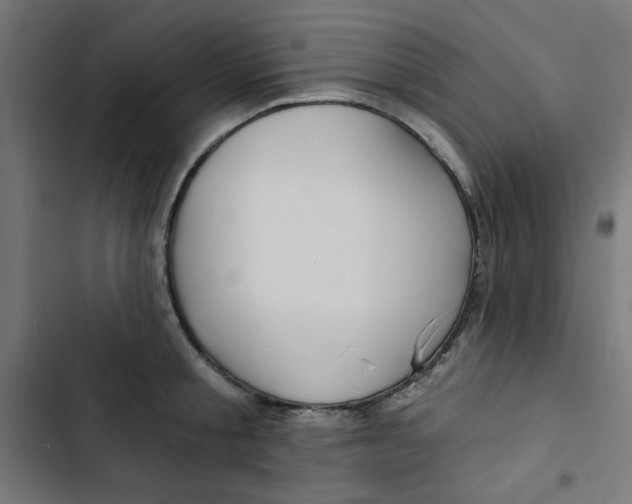 X0000102490805200809051321