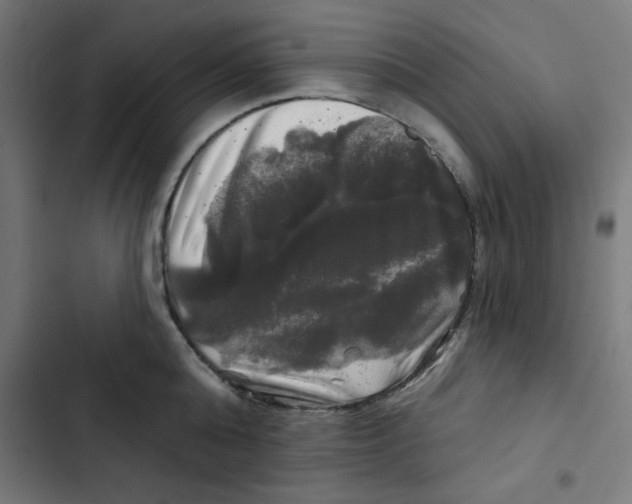 X0000102490808200809051321