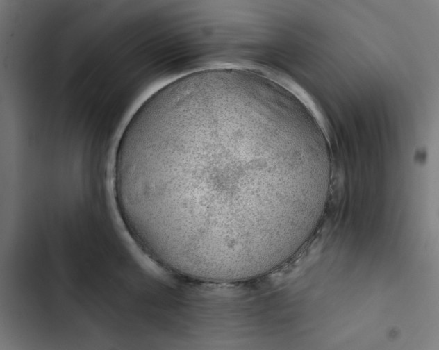 X0000102490811200809051321