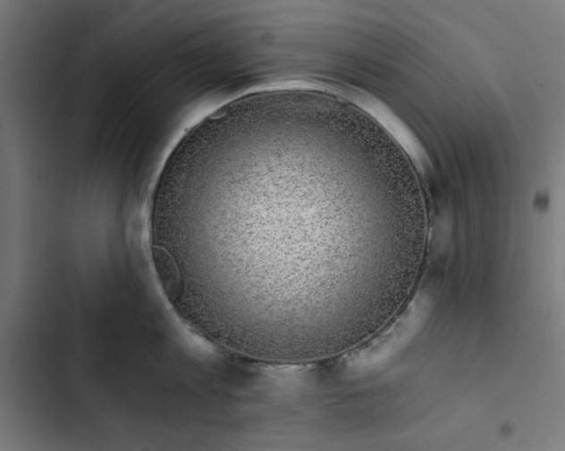 X0000102490813200809051321