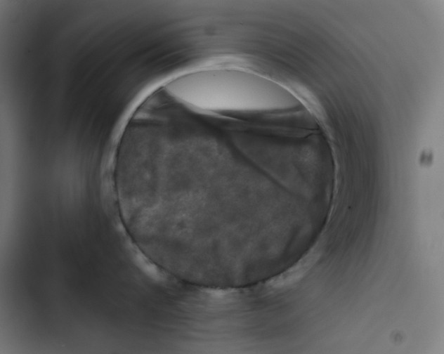 X0000102490816200809051321