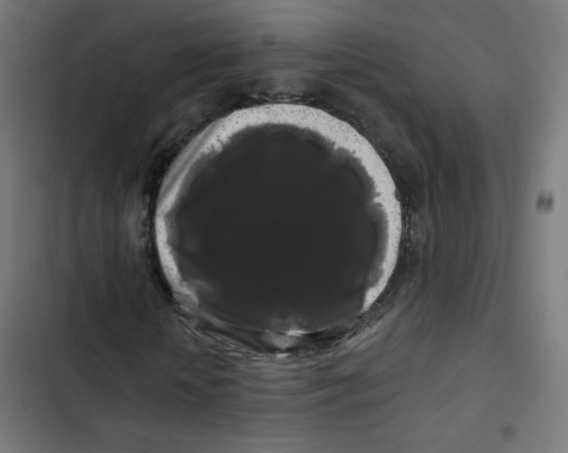 X0000102490818200809051320