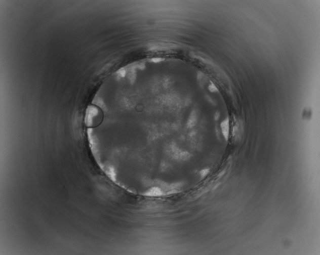 X0000102490819200809051320