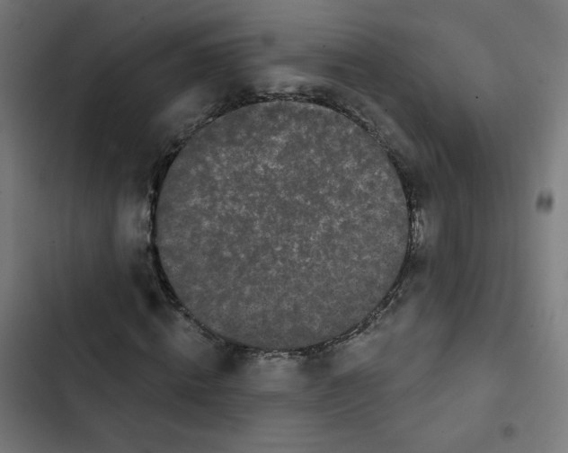 X0000102490820200809051320