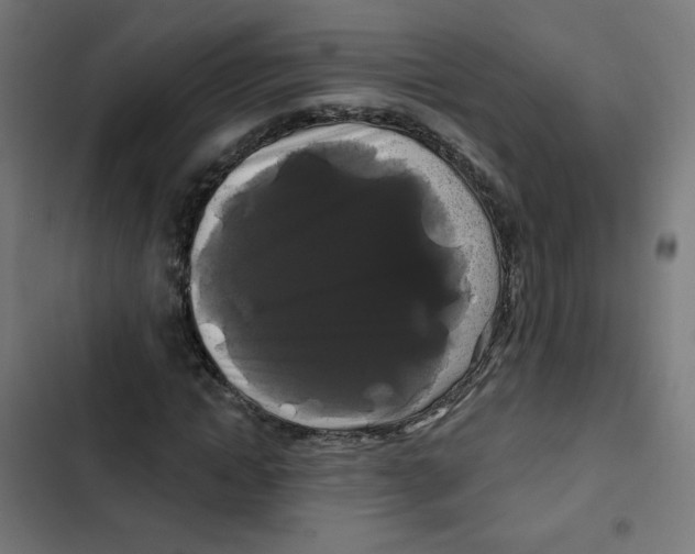 X0000102490822200809051320