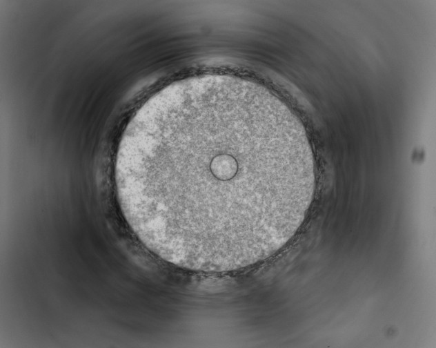 X0000102490824200809051320