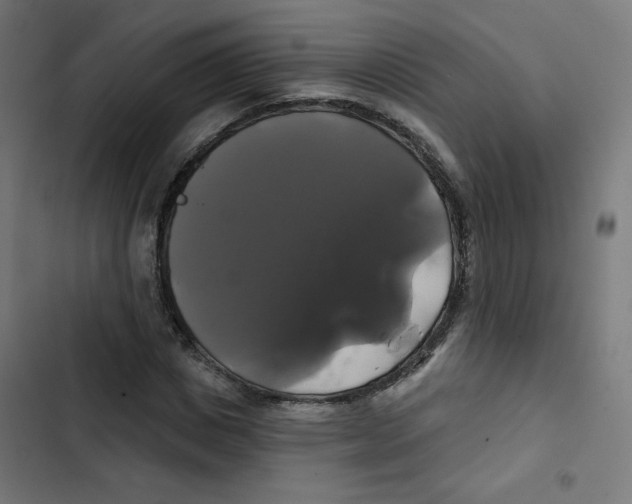 X0000102490825200809051320